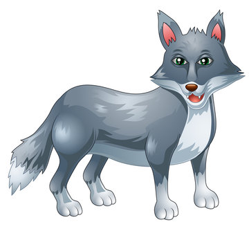 Cartoon funny wolf giving thumb up isolated on white background