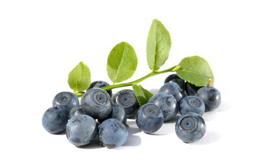 Blue ripe blueberries isolated on white background
