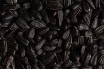 Heap of black sunflower seeds