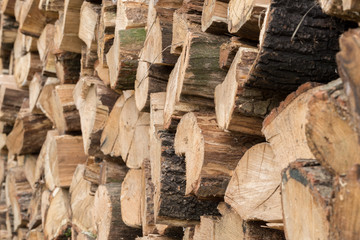 Stacked fire wood prepared for winter.