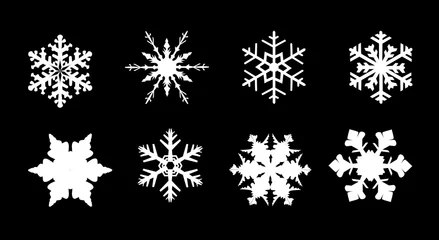 Foto op Aluminium Isolated Snowflake Collection © Al