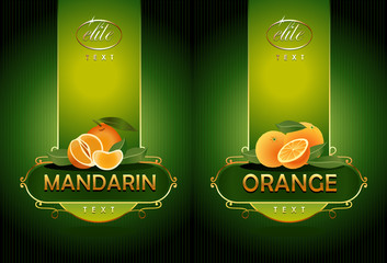 Mandarin, orange. Vector