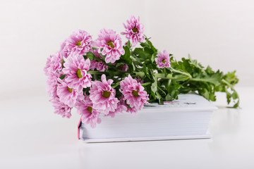 Розовые хризантемы лежат на книге