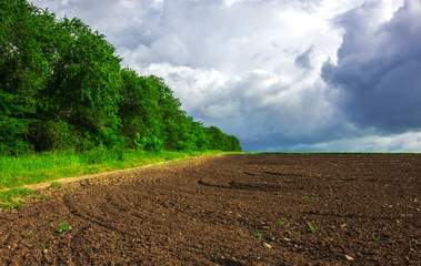 Agriculture. prepared the field for planting .