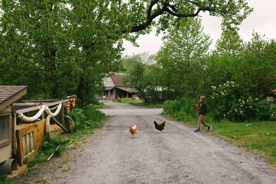 Young boy on rural pathway with two chickens 