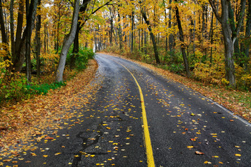 Fototapeta premium Autumn Road