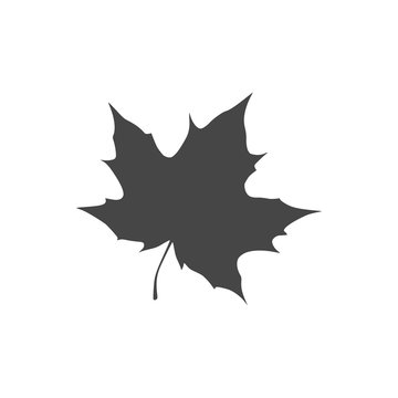 Vector Maple Leaf Icon