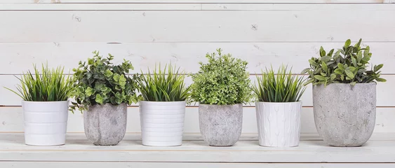 Foto auf Acrylglas Topfpflanzen in weißen Töpfen und Beton auf weißem Hintergrund © spaskov