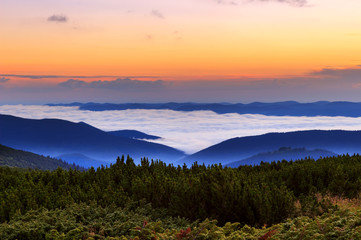 Picturesque sunrise morning in mountains above clouds, Carpathians, Ukraine.