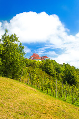     Countryside landscape with vineyard and old castle Veliki Tabor on hill, Zagorje, Croatia 