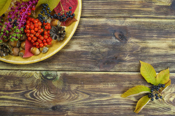Autumn restaurant menu free text copy space with forest berries