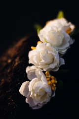 Obraz na płótnie Canvas White rose buds lie on the wet rock