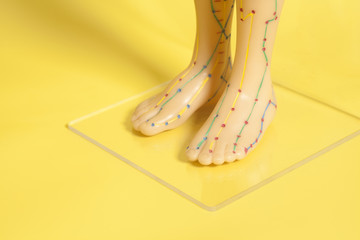 Medical acupuncture model of human feet