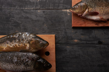 fresh fish on the boards