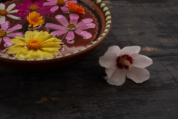 Obraz na płótnie Canvas wallpaper - flowers in a bowl with water