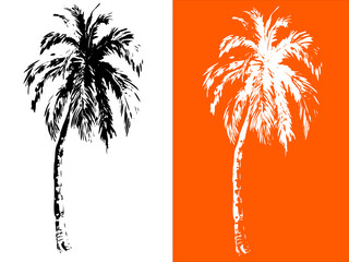 Obraz premium Tropical palm trees, black silhouettes on white background. white silhouettes on orange background. Vector, hand drawn
