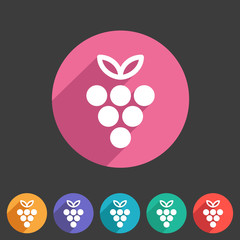 Grapes icon flat web sign symbol logo label