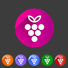 Grapes icon flat web sign symbol logo label
