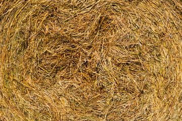 Hay bails on field in Germany close up