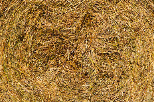Hay bails on field in Germany close up