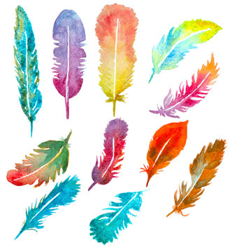 set of watercolor hand painted feathers isolated 