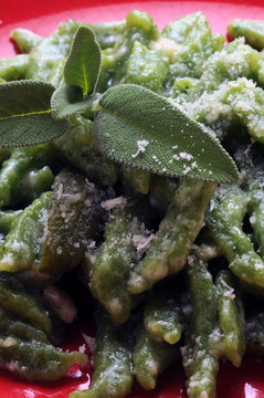 Sp&auml;tzle Kn&ouml;pfle Spatzle Sp&auml;tzl&acirc; Spatzles Spatz&acirc; Sp&auml;tzli 슈페츨레 Spatzen Spatzln Nokedli Csipetke شبتزلي Galuska Szpecle Шпецле 德国面疙瘩 שפצלה