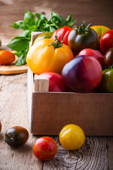 Composition of colorful tomatoes in summer harvest time
