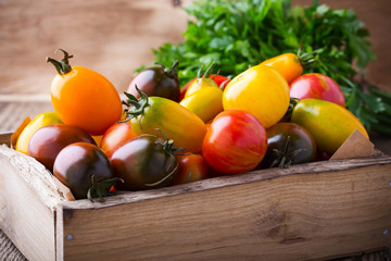 Composition of colorful tomatoes in summer harvest time