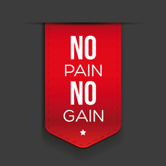 No Pain No Gain - workout and Fitness Motivation Quote