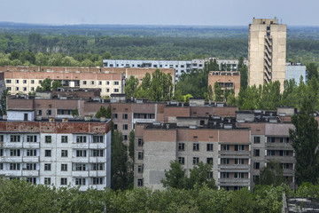 Fototapeta premium Nature wins the ghost town of Pripyat near the Chernobyl nuclear power plant