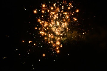 Fototapeta na wymiar Bright firework explosion in the night sky