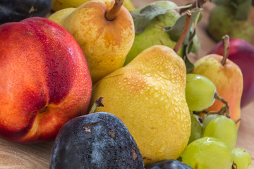 sundry fresh bio grapes, plums, pears  and nectarine  on the woo