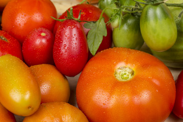 Close-up view of different fresh green, yellow and red tomatoes