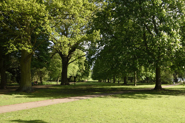 Fototapeta na wymiar イギリスの田園都市：レッチワースの公園、ノートンコモン