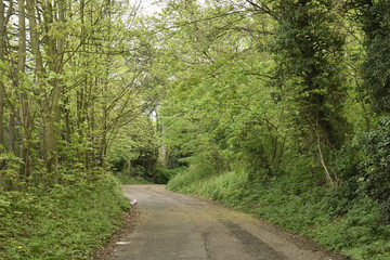 Fototapeta premium イギリスのニュータウン：ハーロウの街並み