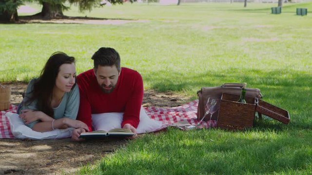 Young couple reading a book during picnic in park