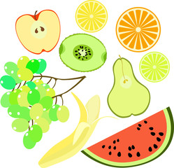 Set of fruits watermelon, orange, kiwi, grapes, banana, pear, ap