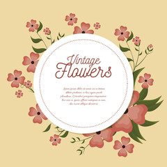 vintage flowers frame decoration vector illustration design