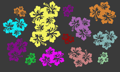 ibiscus  © mcristinab