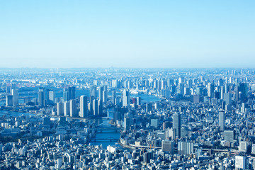 東京都市風景　俯瞰　都心の街並　月島　品川　晴海　大井　築地　勝どき　遥か横浜まで望む