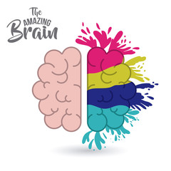 the amazing brain isolated vector illustration design