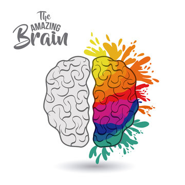 the amazing brain isolated vector illustration design