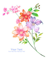 watercolor illustration flowers in simple background - 119403198