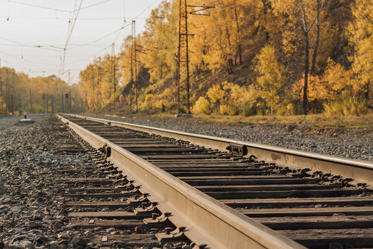 Autumn landscape with rails