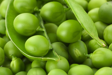 Young grean peas background