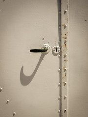 door handle (30)