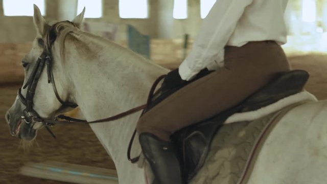 The girl rides a horse at the indoor arena close-up