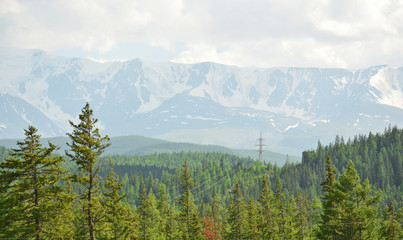 High mountain ridge and snow rocks with forest