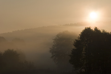 Fototapeta na wymiar Landscape in the Mist