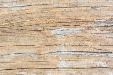 Naklejka na ściany i meble Wood texture background